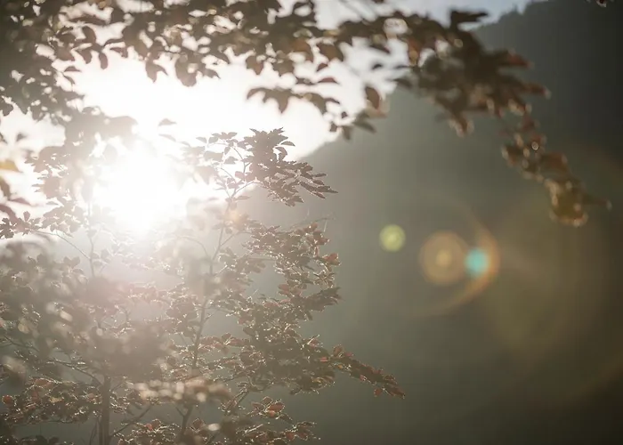 アパートホテル Garni Larcherhof マイヤーホーフェン