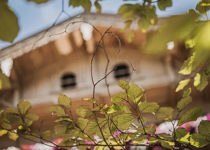 Garni Larcherhof アパートホテル マイヤーホーフェン