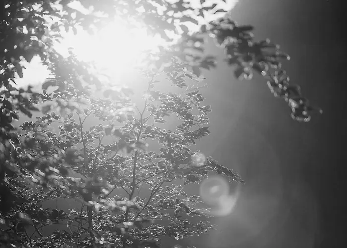 Garni Larcherhof アパートホテル 3*