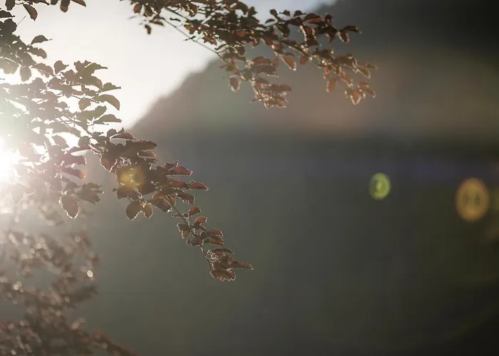 アパートホテル Garni Larcherhof