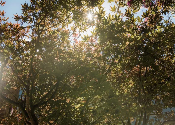 Garni Larcherhof 3* マイヤーホーフェン