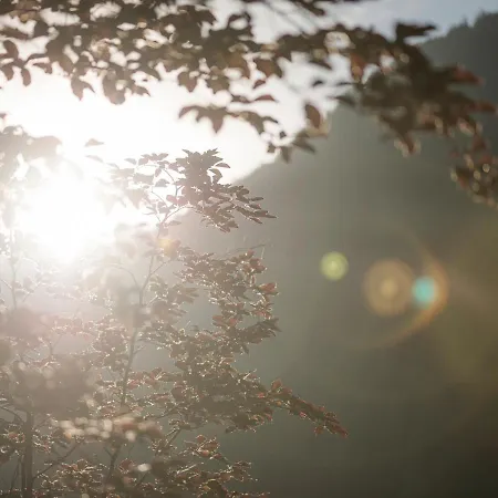 아파트호텔 Garni Larcherhof 메이른호픈