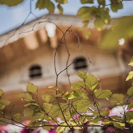 Garni Larcherhof 아파트호텔 메이른호픈