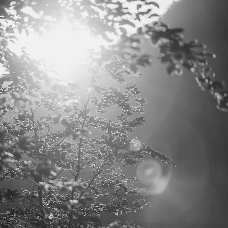 Garni Larcherhof Lägenhetshotell 3*