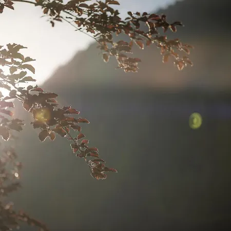 Lägenhetshotell Garni Larcherhof