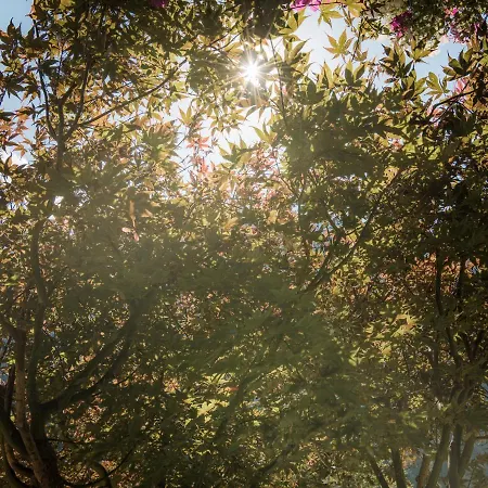 Garni Larcherhof 3* Mayrhofen